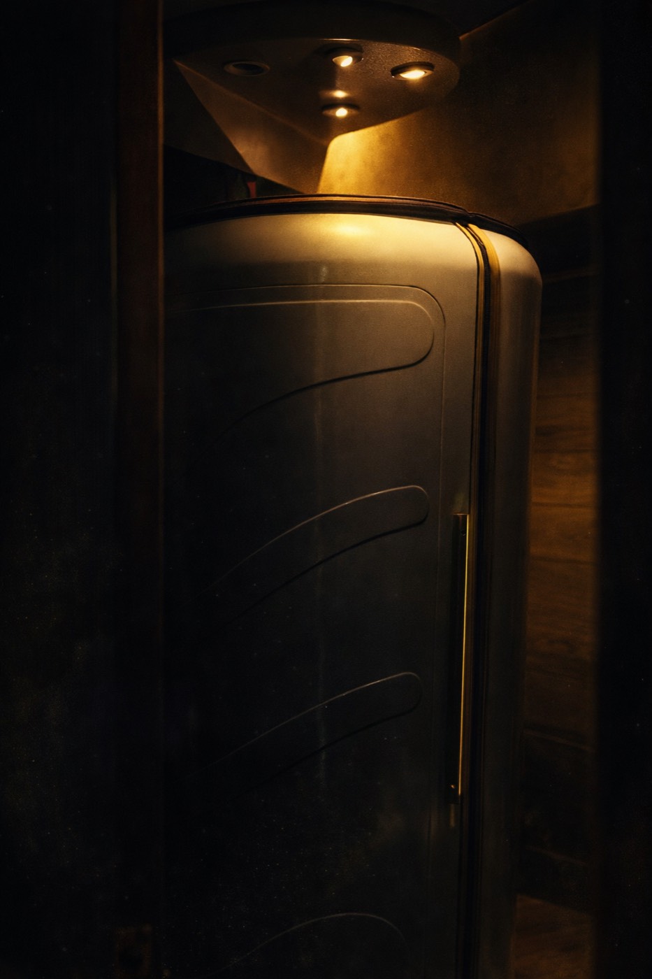 Cryotherapy chamber